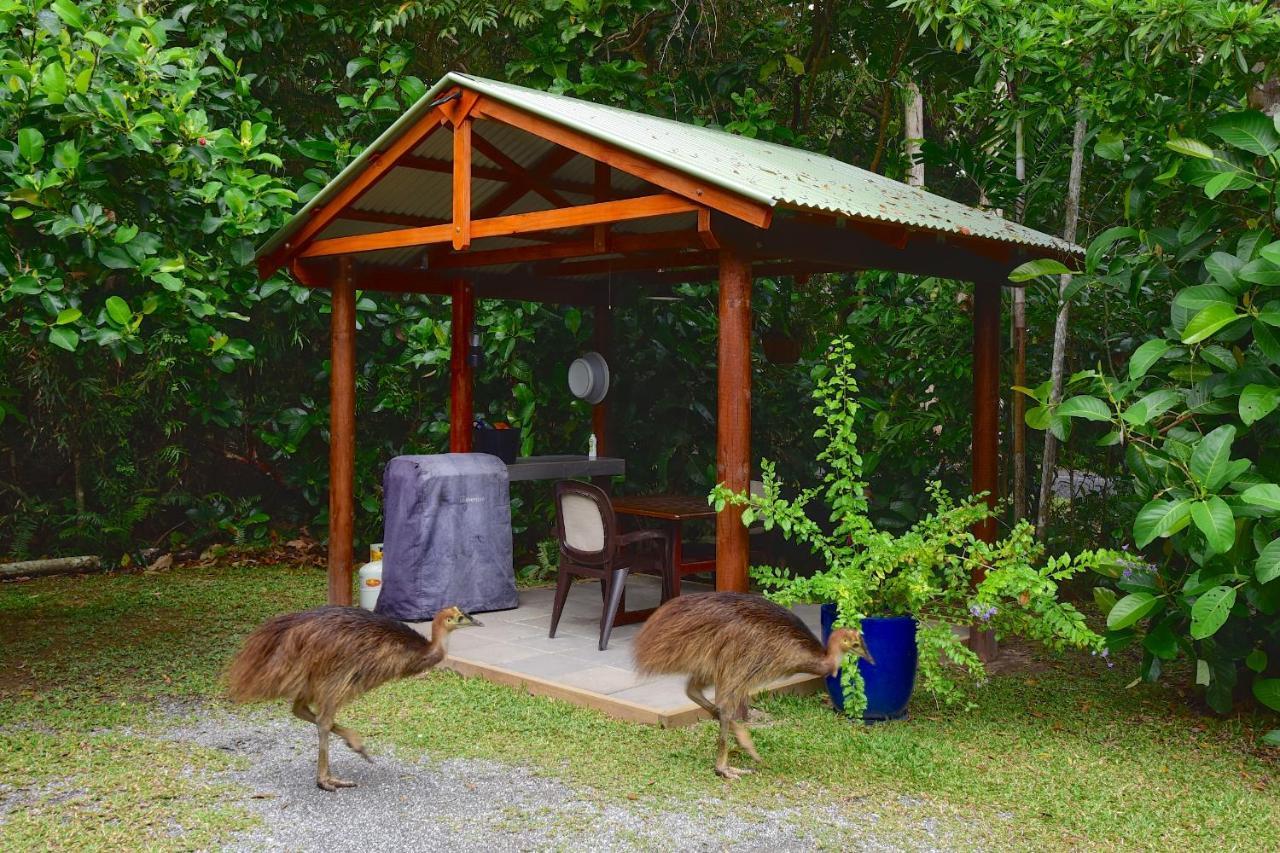 Thornton Beach Bungalows Daintree Cape Tribulation Exterior photo