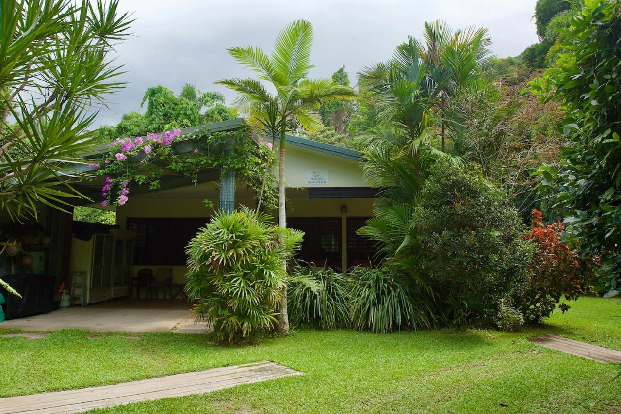 Thornton Beach Bungalows Daintree Cape Tribulation Exterior photo