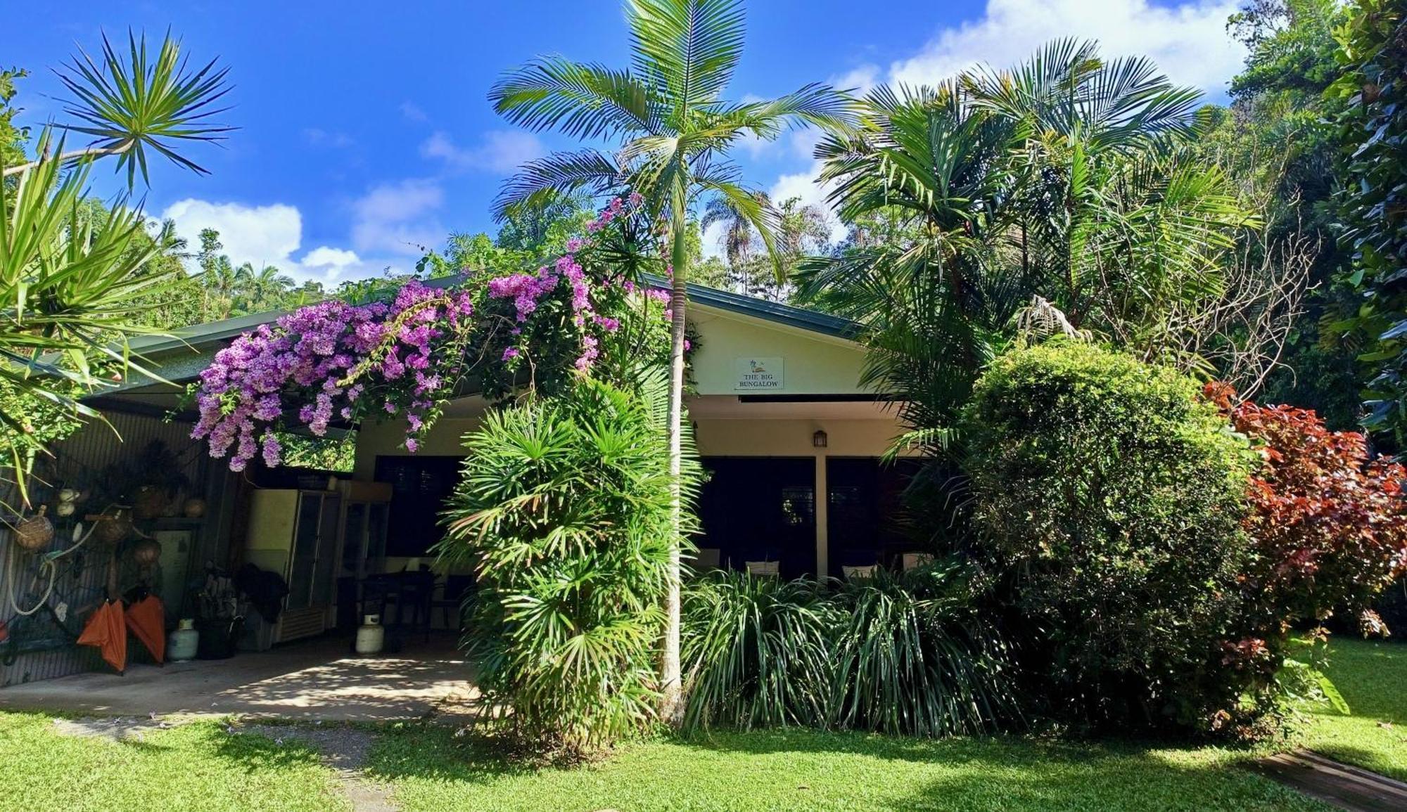 Thornton Beach Bungalows Daintree Cape Tribulation Exterior photo