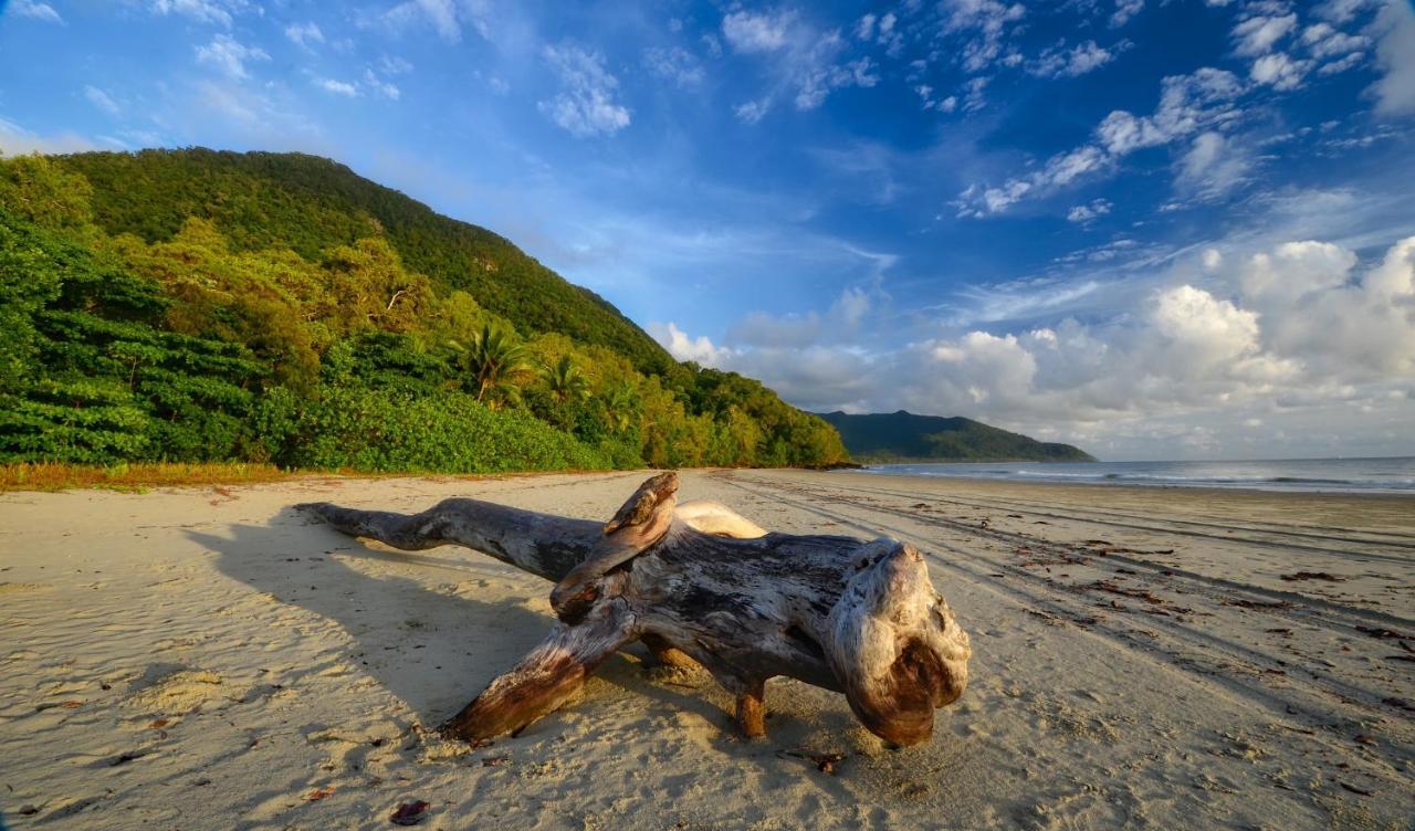 Thornton Beach Bungalows Daintree Cape Tribulation Exterior photo