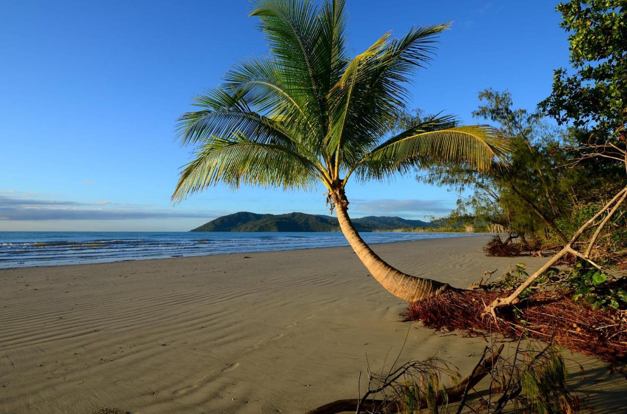 Thornton Beach Bungalows Daintree Cape Tribulation Exterior photo
